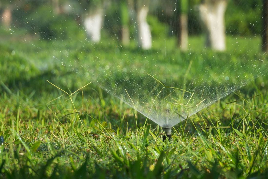 Irrigation Management