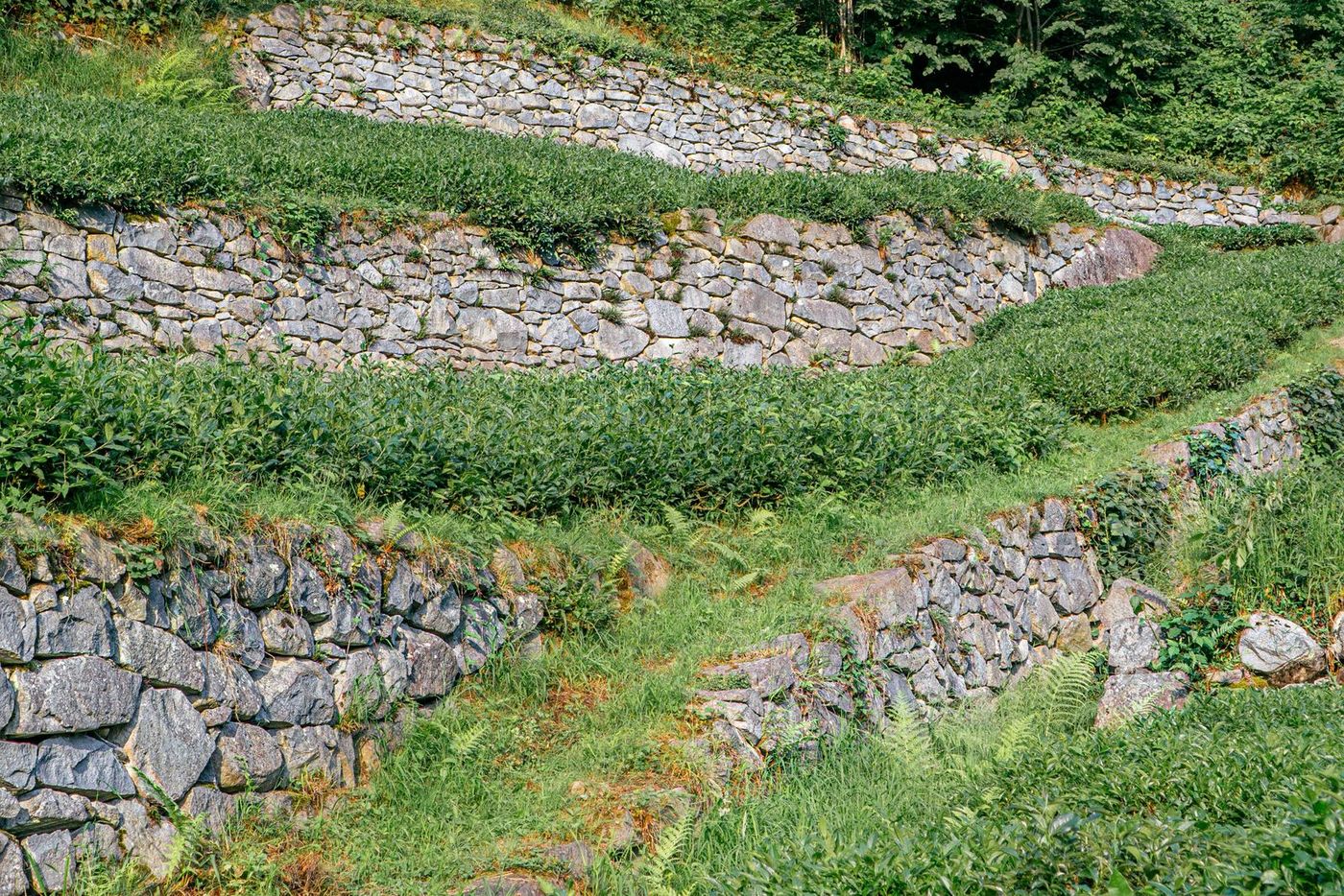 Retaining Walls