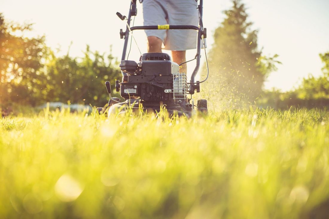 Turf & Fertilization